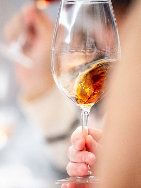 Explorar o Vinho do Porto