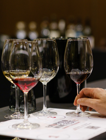 Descobrir os Vinhos Fortificados - 07-12-2026 19:00