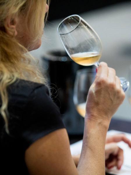 Explorar o Vinho de Jerez - 03-11-2026 19:00